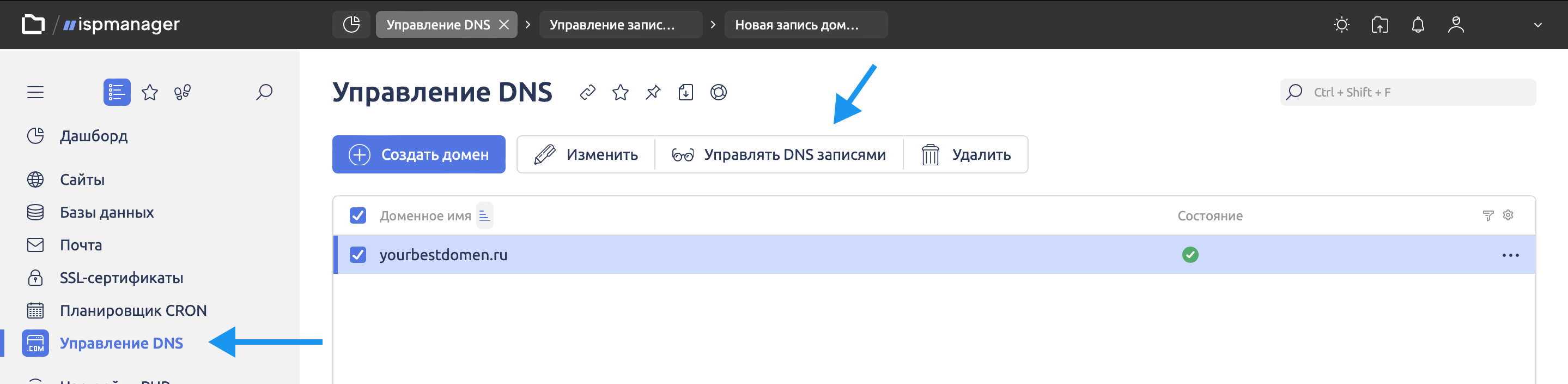 Добавление DNS записей в панели управления сервером ispmanager