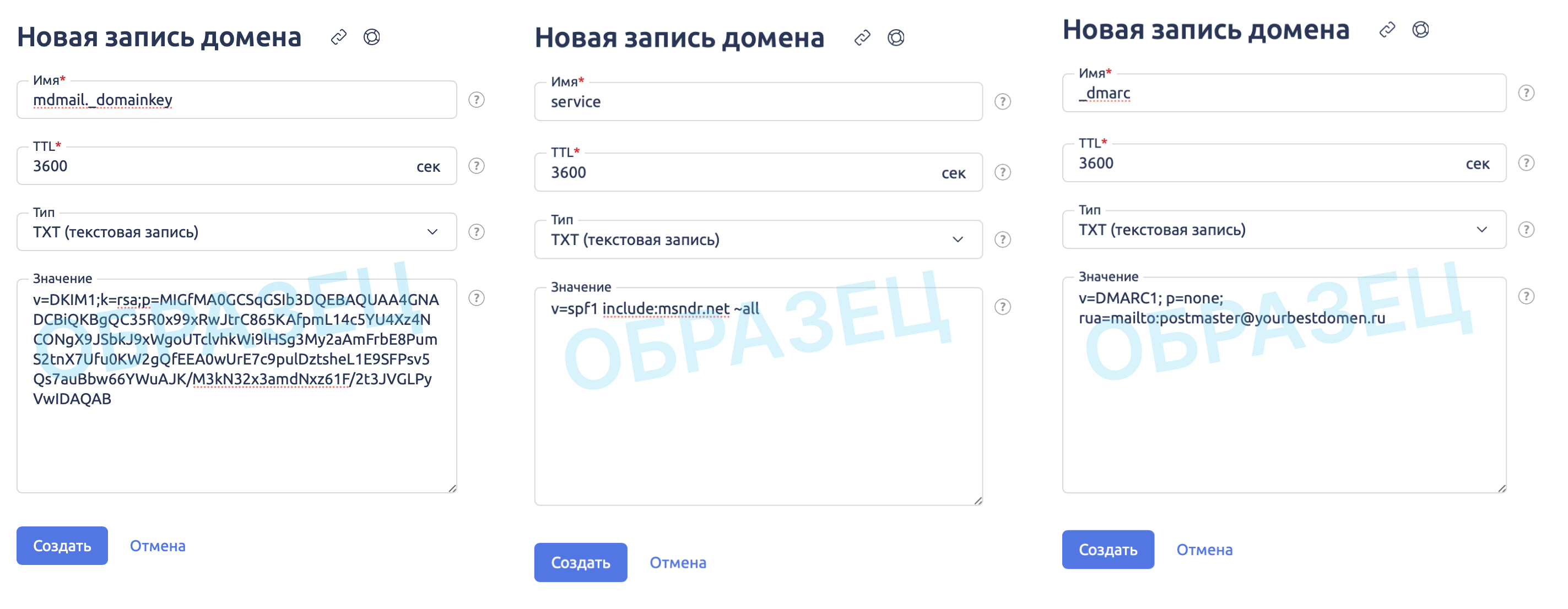 Добавление DNS записей типа TXT в панели управления сервером ispmanager